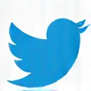 Twitter icon